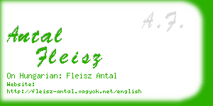 antal fleisz business card